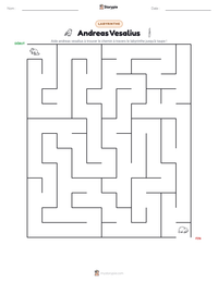 Aperçu de la feuille de travail imprimable Andreas Vesalius