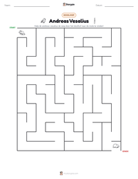 Andreas Vesalius afdrukbare werkblad voorbeeld
