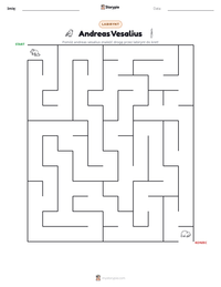 Podgląd drukowalnego arkusza ćwiczeń Andreas Vesalius