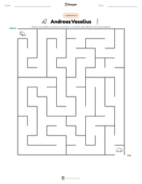 Prévia da folha de atividades imprimível Andreas Vesalius