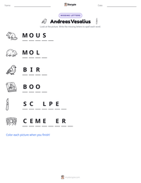 Andreas Vesalius printable worksheet preview