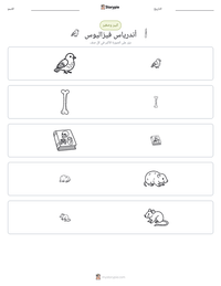 معاينة ورقة العمل القابلة للطباعة أندرياس فيزاليوس