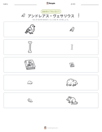 アンドレアス・ヴェサリウス の印刷可能ワークシートプレビュー