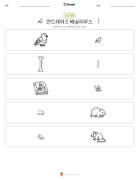 안드레아스 베살리우스 인쇄 가능한 워크시트 미리보기
