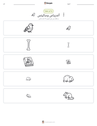 آندریاس وسالیئس پرنٹ کرنے کے قابل ورکشیٹ کا پیش نظارہ