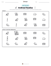 Andreas Vesalius printable worksheet preview