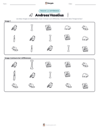 Aperçu de la feuille de travail imprimable Andreas Vesalius