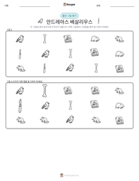 안드레아스 베살리우스 인쇄 가능한 워크시트 미리보기