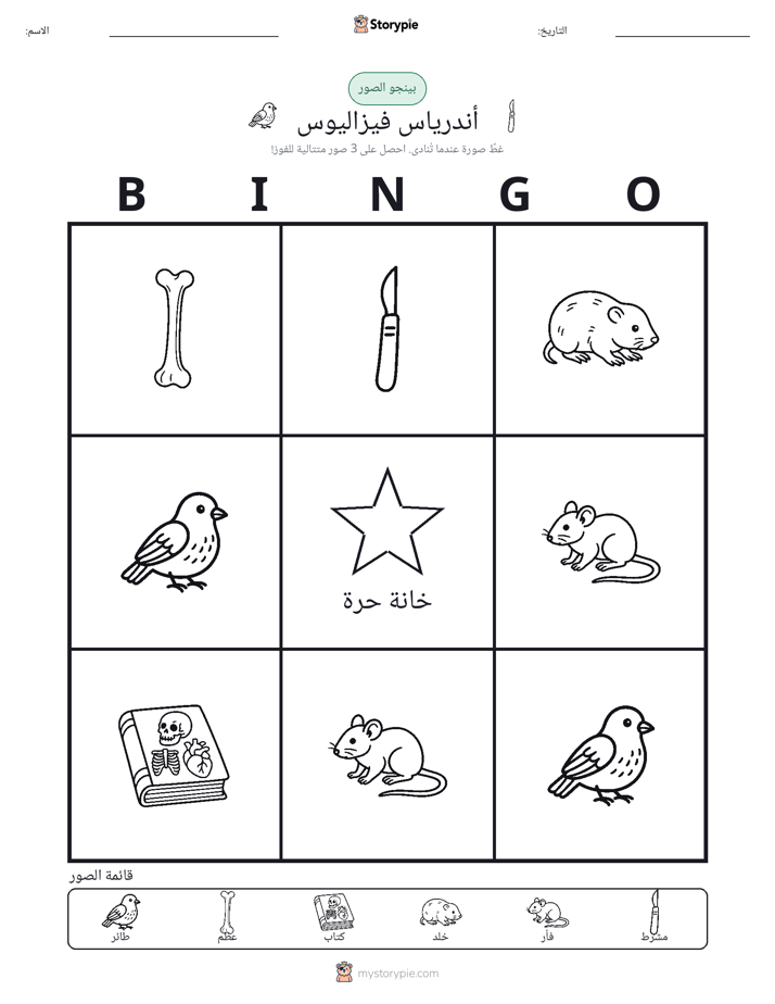 بينغو الصور