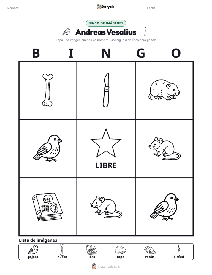 Bingo de Imágenes