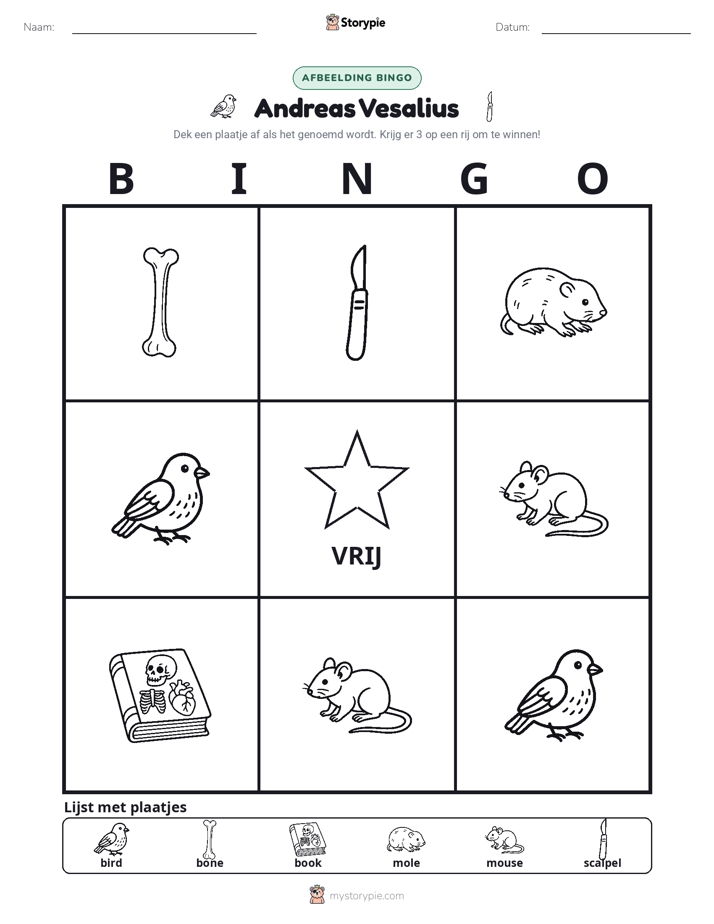 Afbeelding Bingo