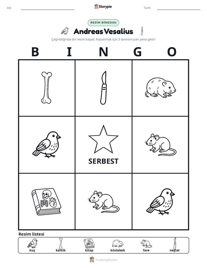 Resim Bingo