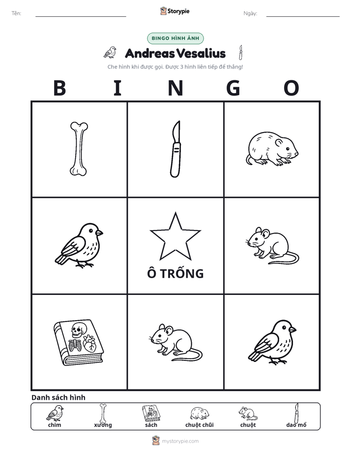 Bingo Hình Ảnh