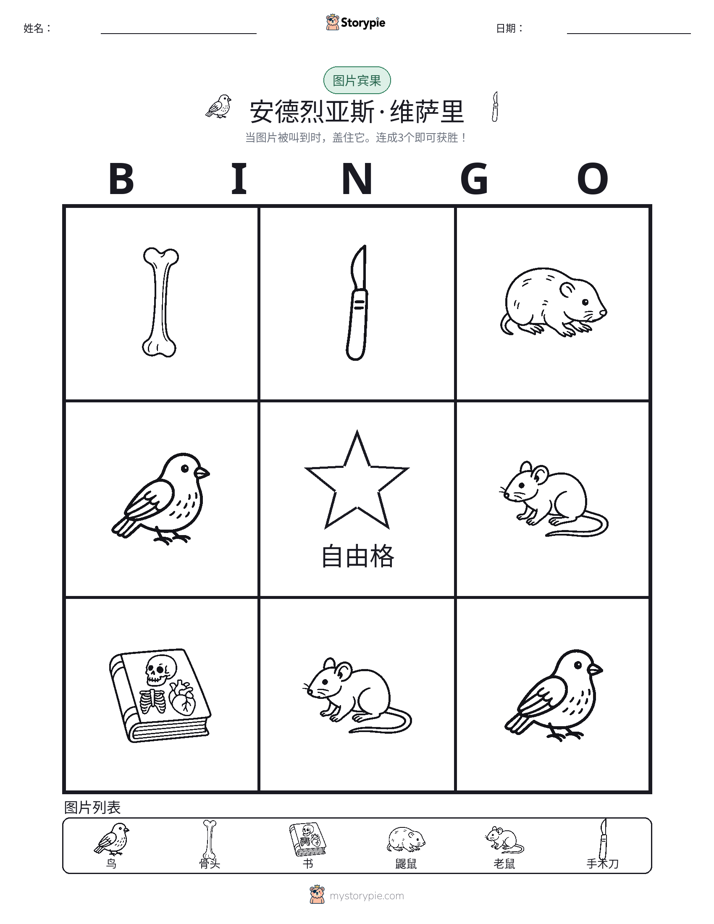 图片宾果