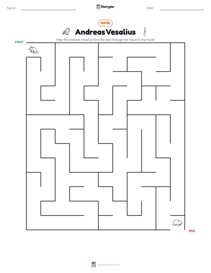 Maze