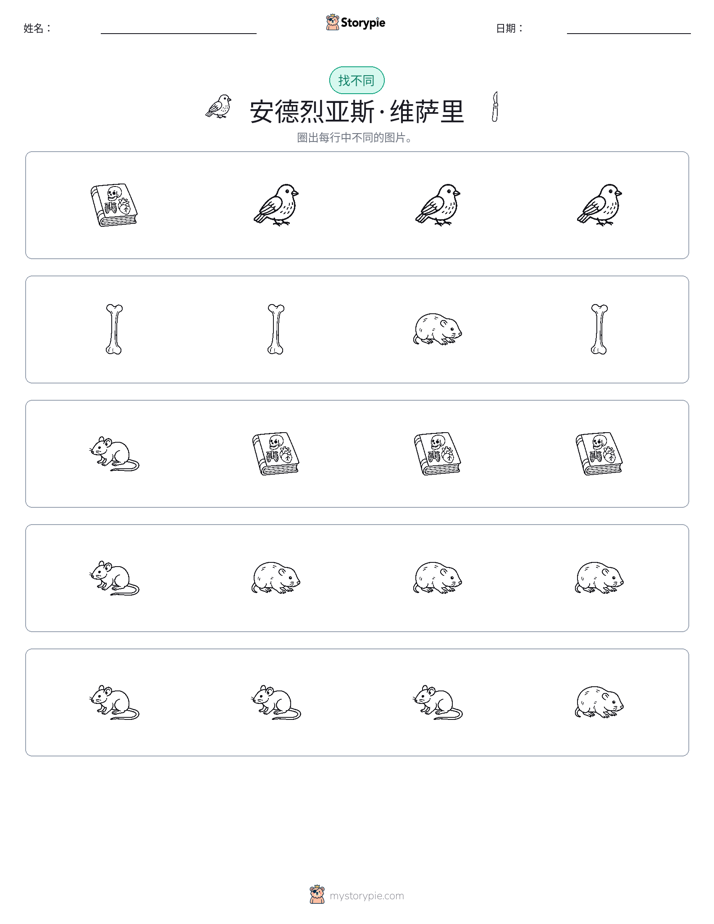 找不同