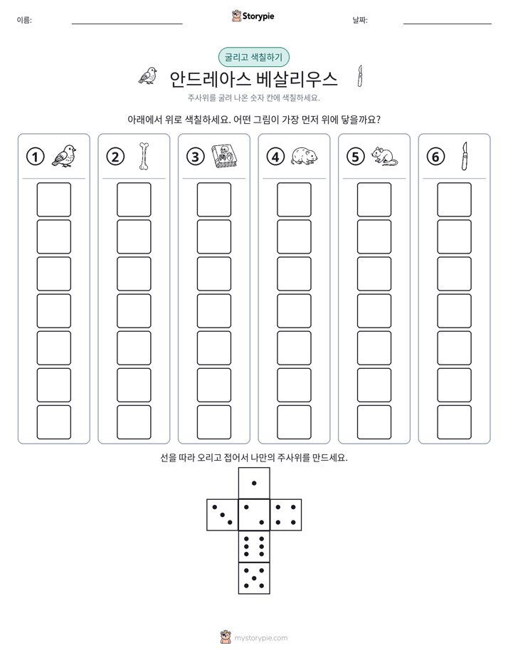 롤 & 색칠하기