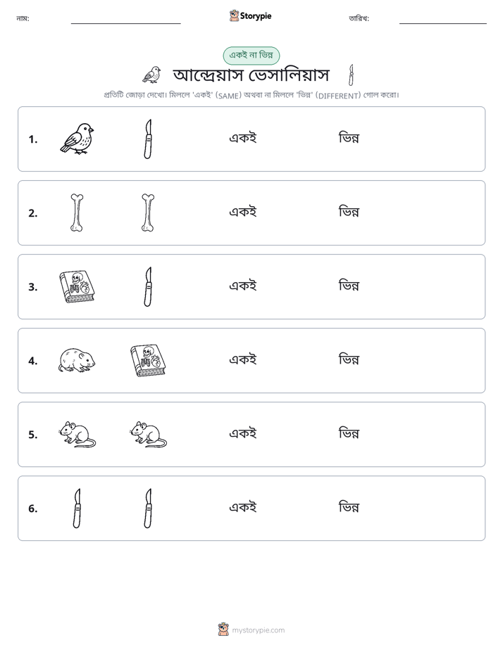 একই বা ভিন্ন