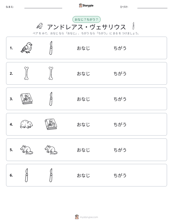 同じか違うか
