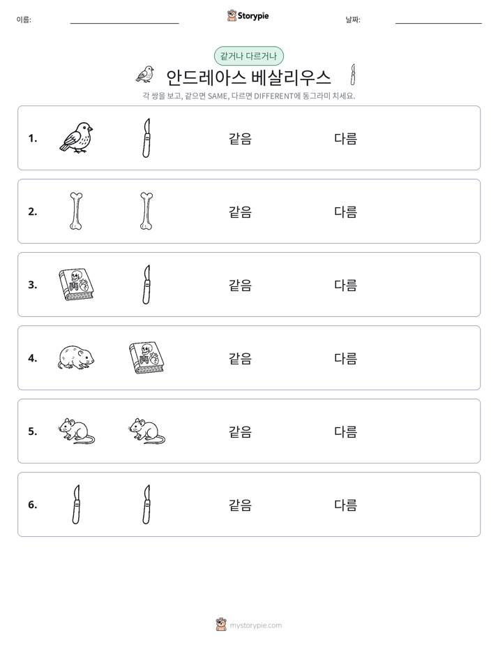 같은 것 또는 다른 것