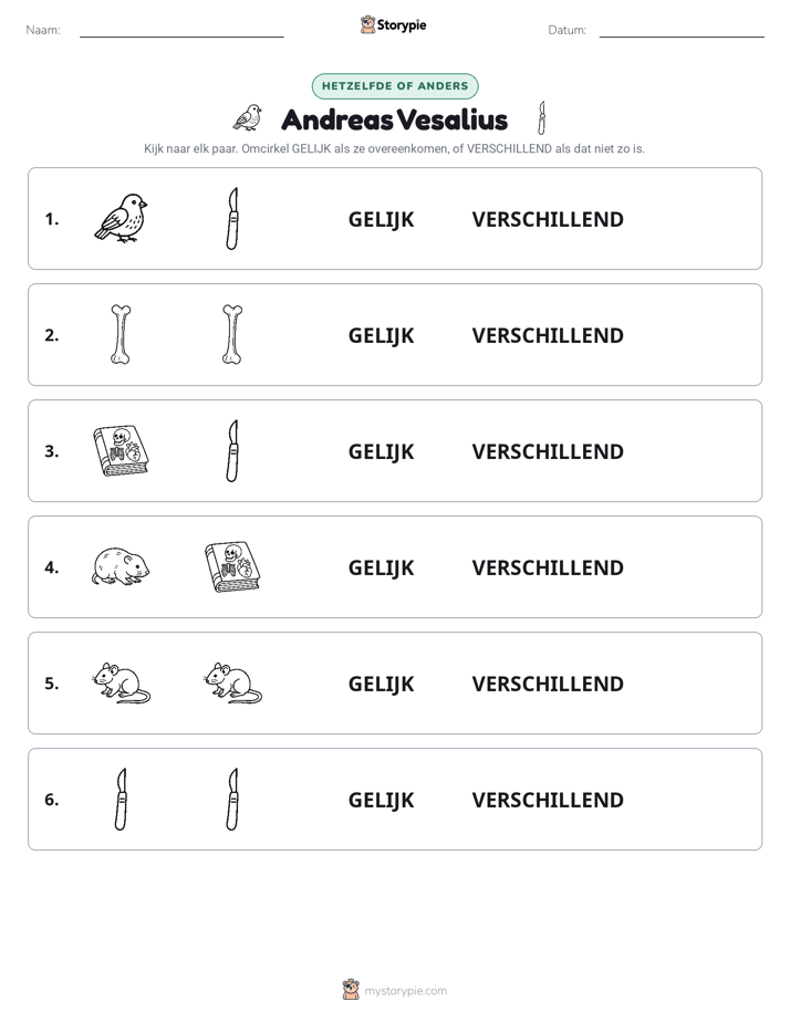 Zelfde of Verschillend