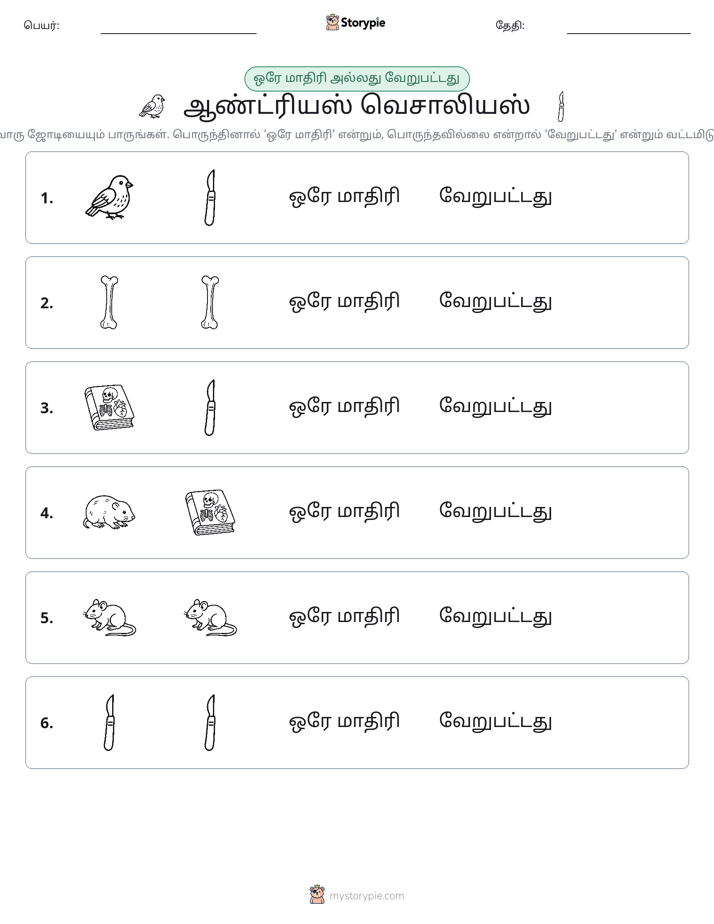 அதே அல்லது மாறுபட்டது