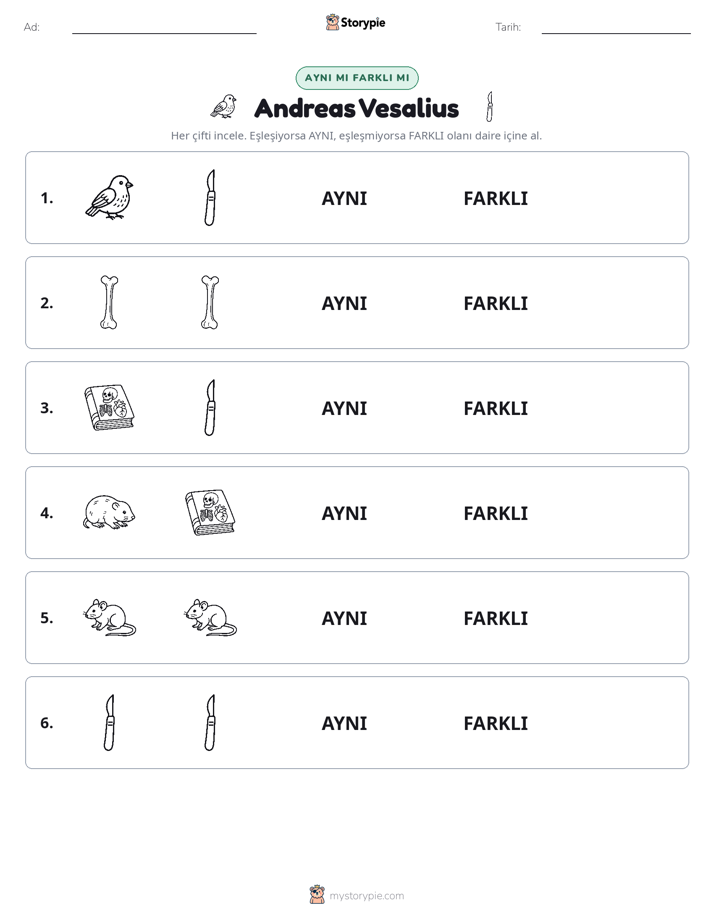 Aynı mı Farklı mı