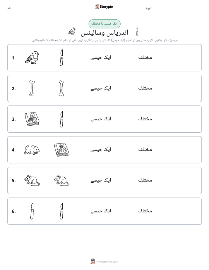 ایک جیسا یا مختلف