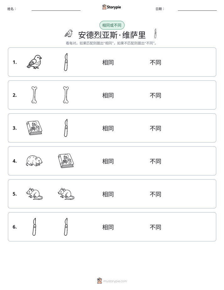 相同或不同