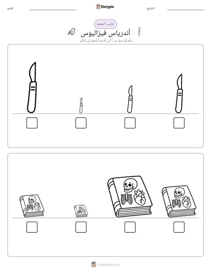 ترتيب الحجم