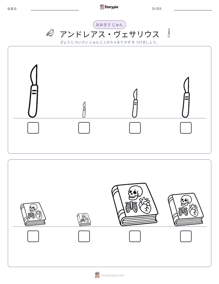 サイズ順