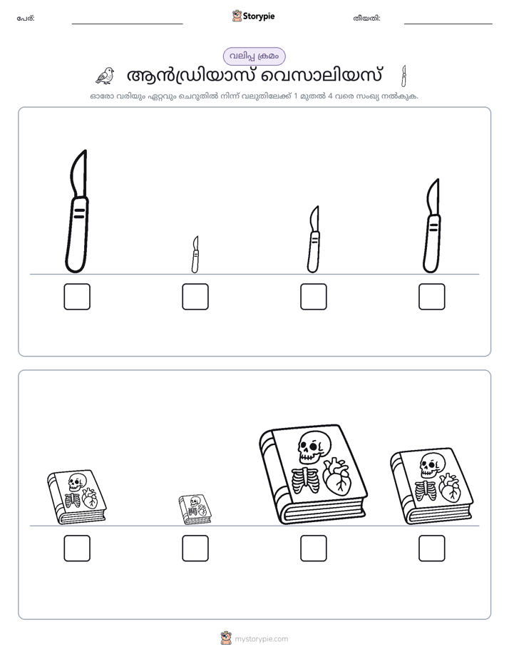 വലുപ്പം ക്രമം