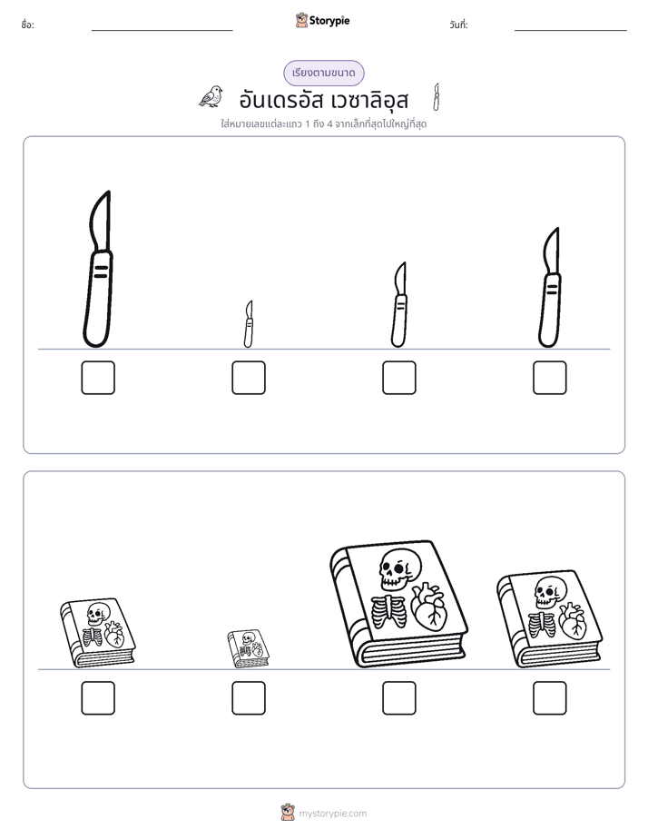 ลำดับขนาด