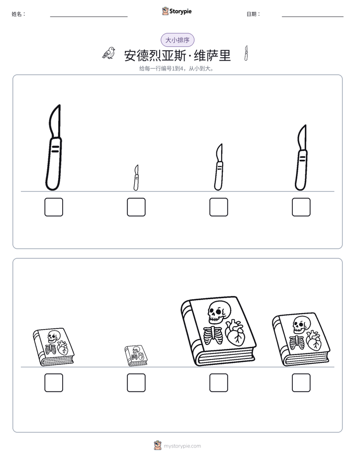 大小排序