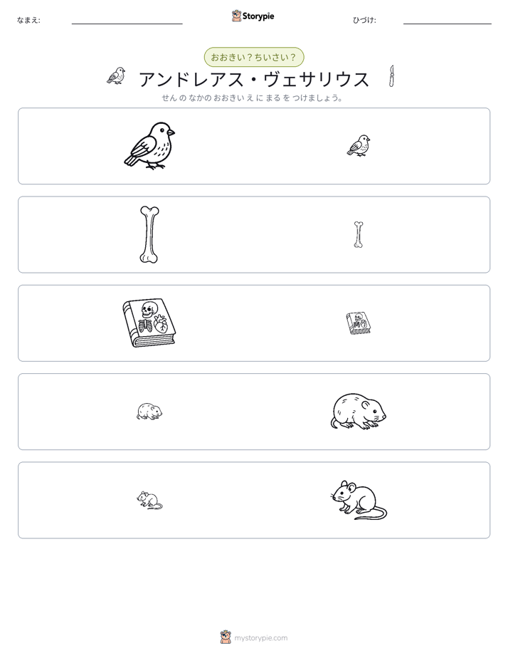 ソーティング