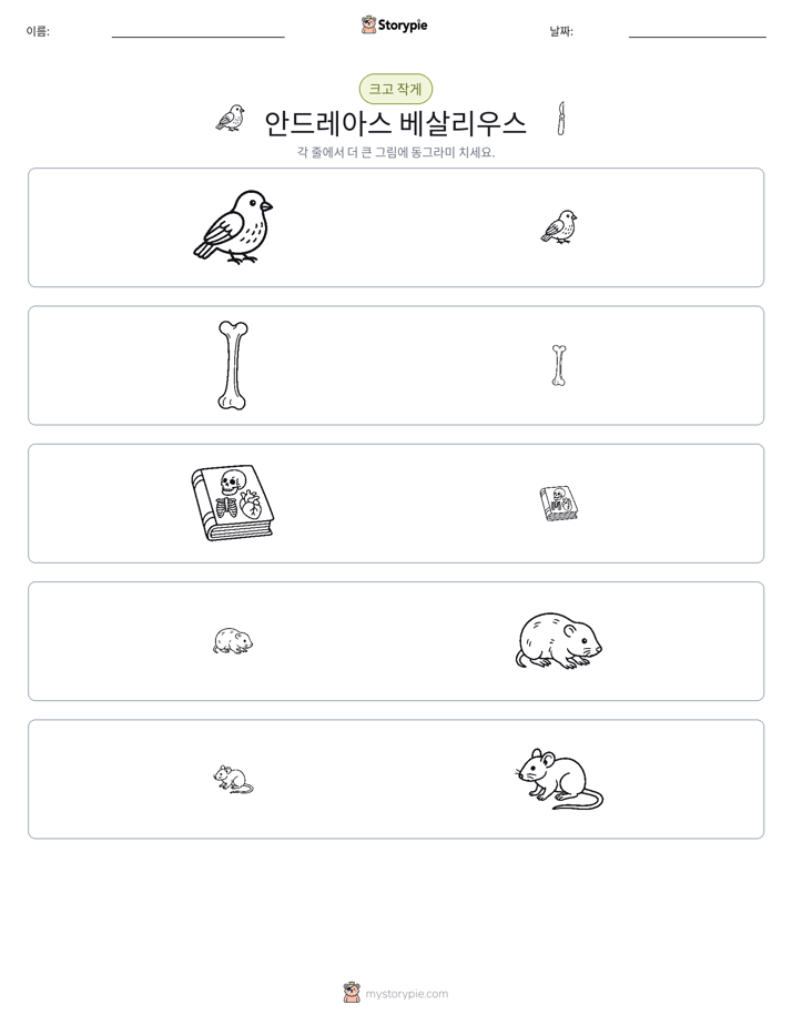 정렬