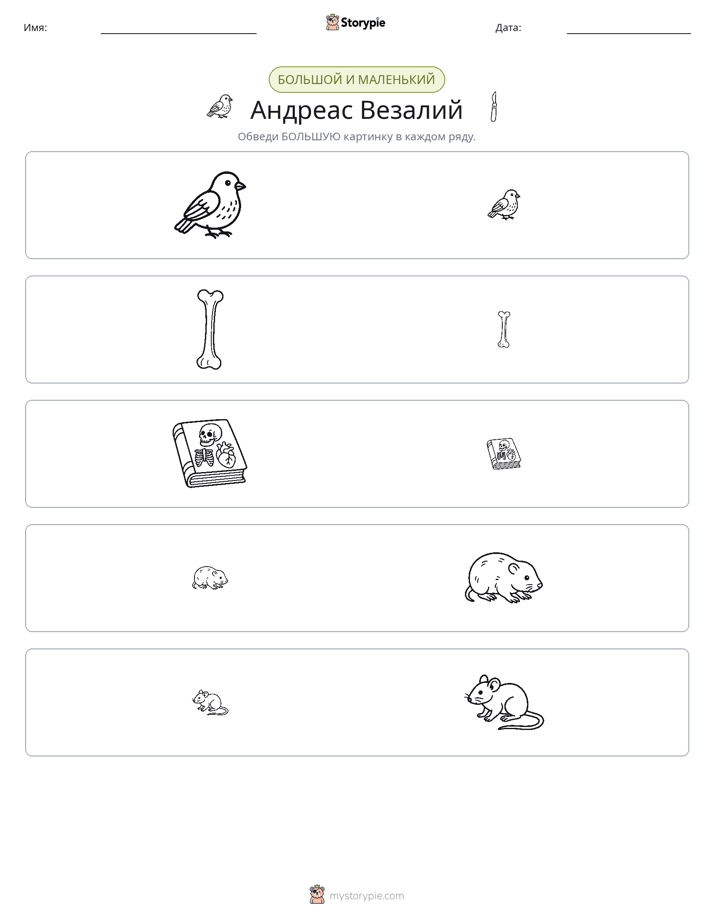 Сортировка