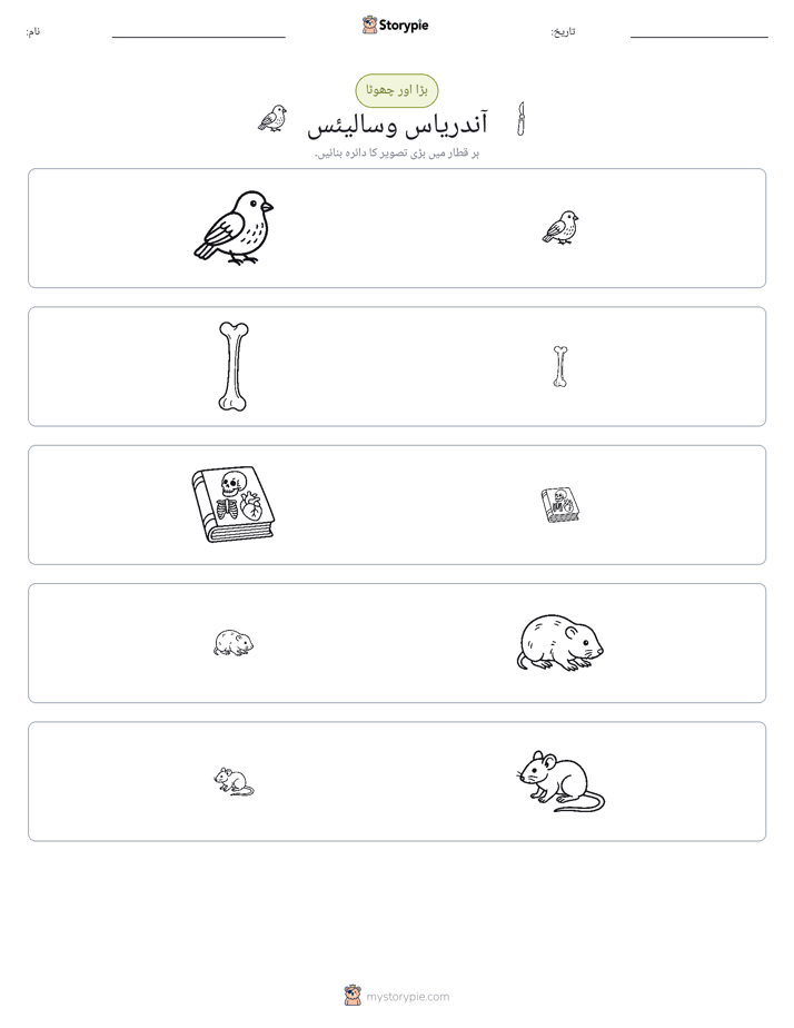 ترتیب دینا