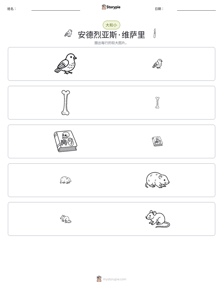 分类