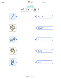 アキレス腱 の印刷可能ワークシートプレビュー
