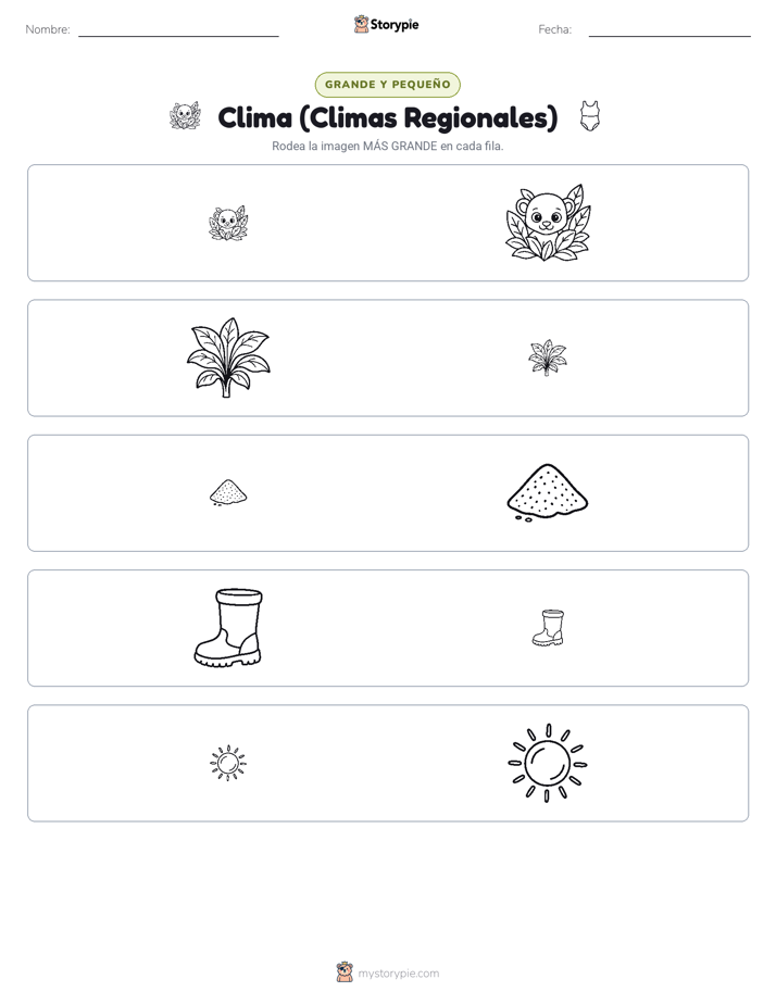 Clasificación