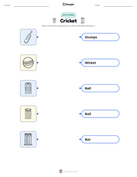Cricket printable worksheet for kids