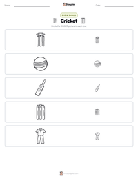 Cricket printable worksheet preview