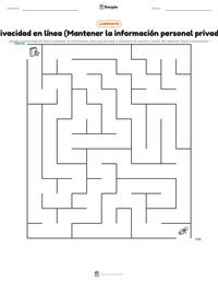 Vista previa de la hoja de trabajo imprimible de Privacidad en línea (Mantener la información personal privada)