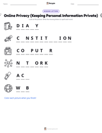 Online Privacy (Keeping Personal Information Private) printable worksheet preview