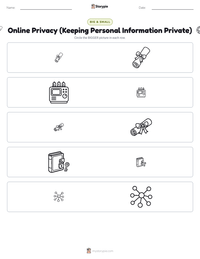 Online Privacy (Keeping Personal Information Private) printable worksheet preview