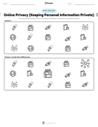 Online Privacy (Keeping Personal Information Private) printable worksheet preview