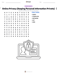 Online Privacy (Keeping Personal Information Private) printable worksheet preview