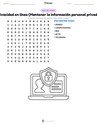 Vista previa de la hoja de trabajo imprimible de Privacidad en línea (Mantener la información personal privada)