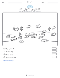 معاينة ورقة العمل القابلة للطباعة البيسون الأمريكي